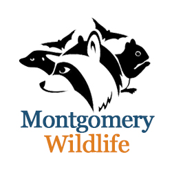 Montgomery Wildlife Removal's Logo